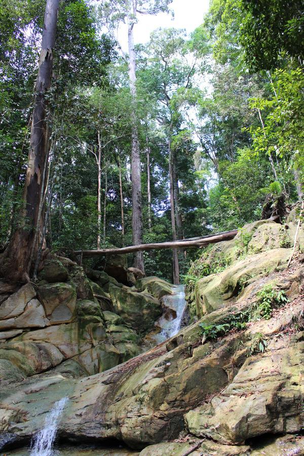 Nanga Damai Homestay Santubong Bagian luar foto